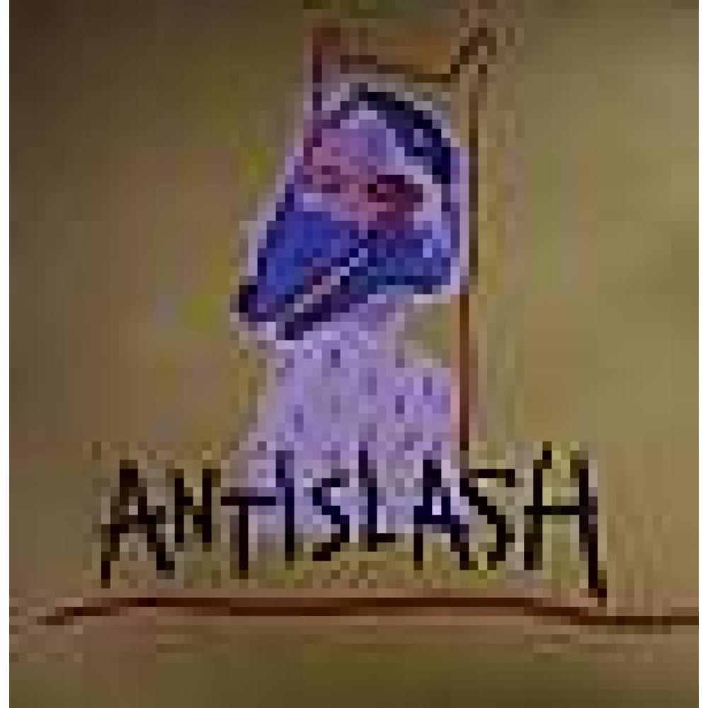 Antislash - La Fureur De De Vaincre