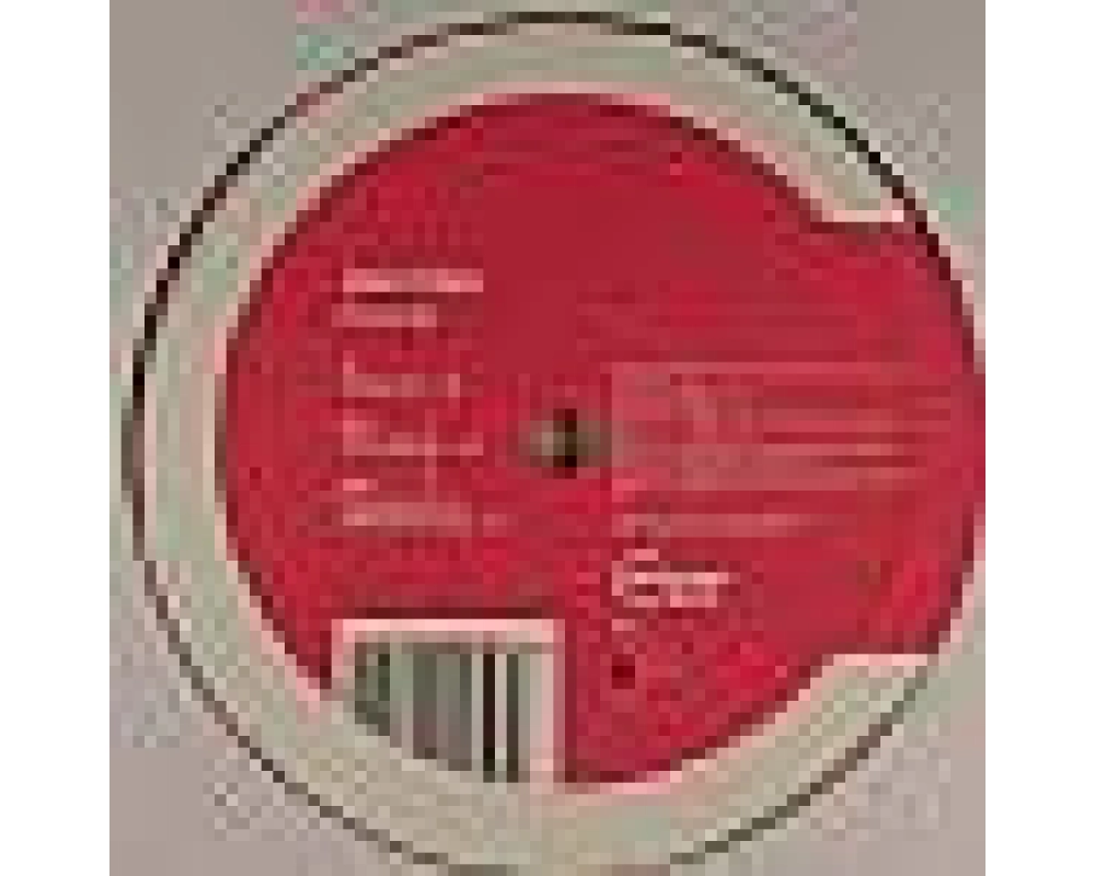 Jean Elan - Shake Me