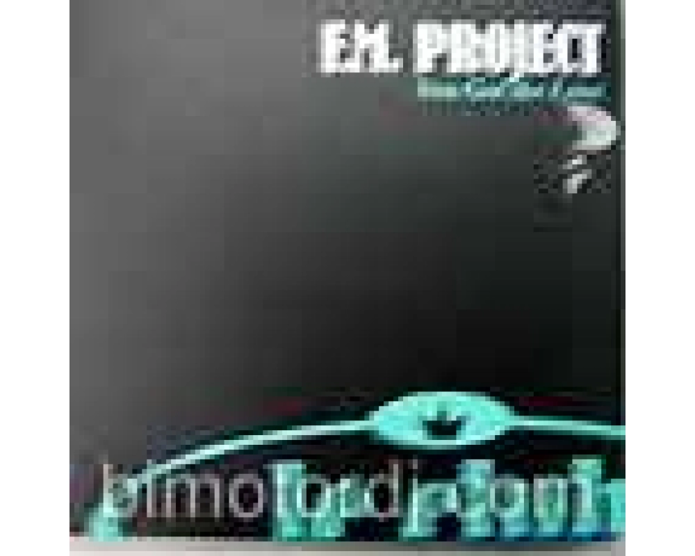 e.m. project - you got the love