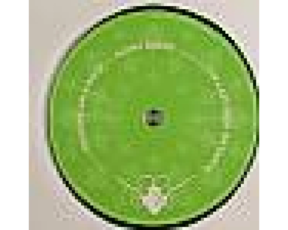 phonogenic - the last bear on earth