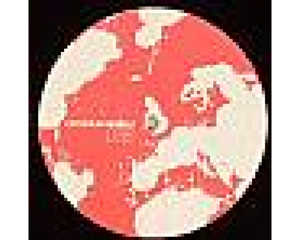 Peace Division - Soft Heavy E.P.