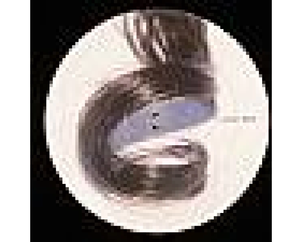 Dub Kult - Artificial Latvamaki - Cluster Fuck - Se Tuli Aavikolta