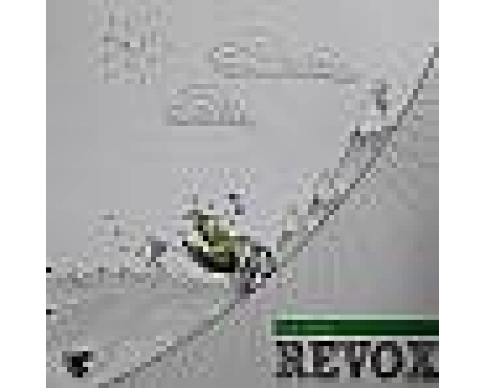 Tim Green - Revox (Justin Martin Rmx)