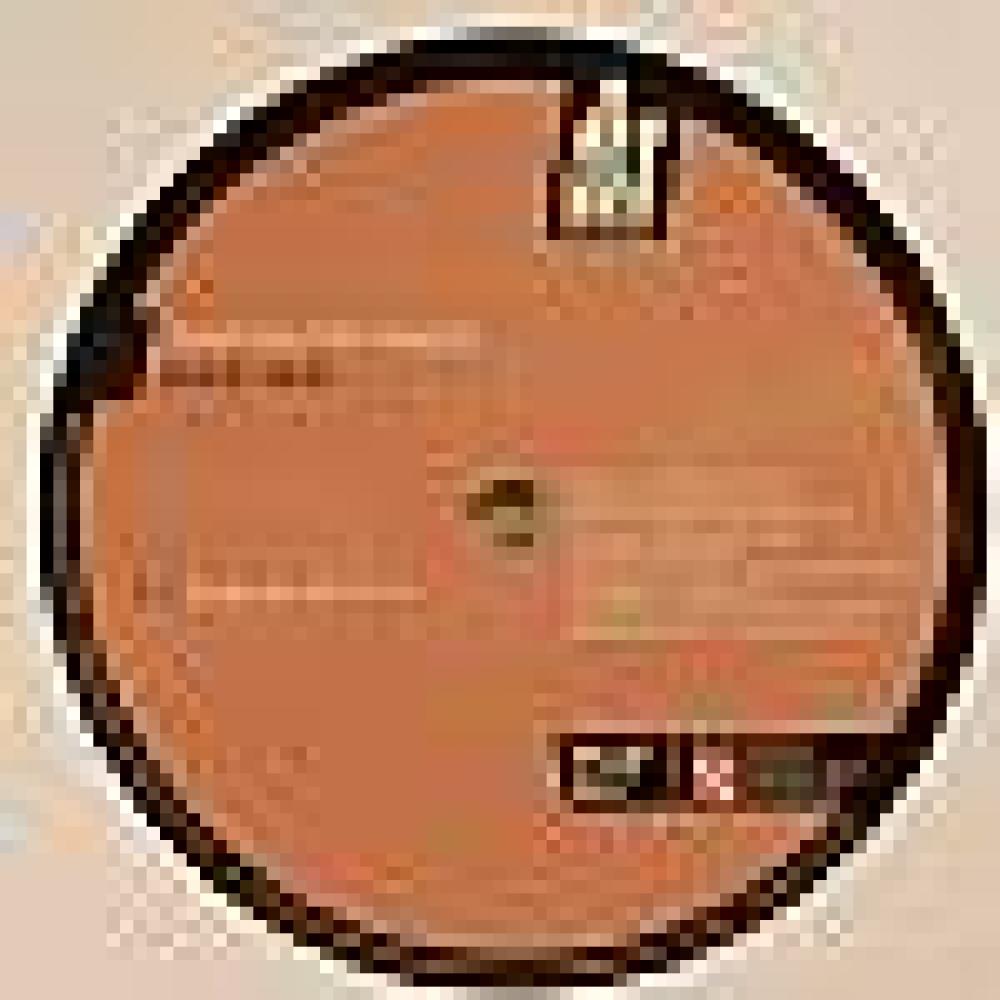 Andrea Introvigne - Magic Bus