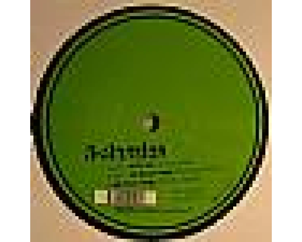 v.a. - w.t.t.p.d