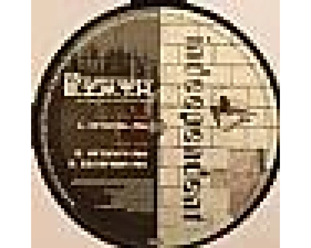 The Consepticons - B.I.R.T.H.