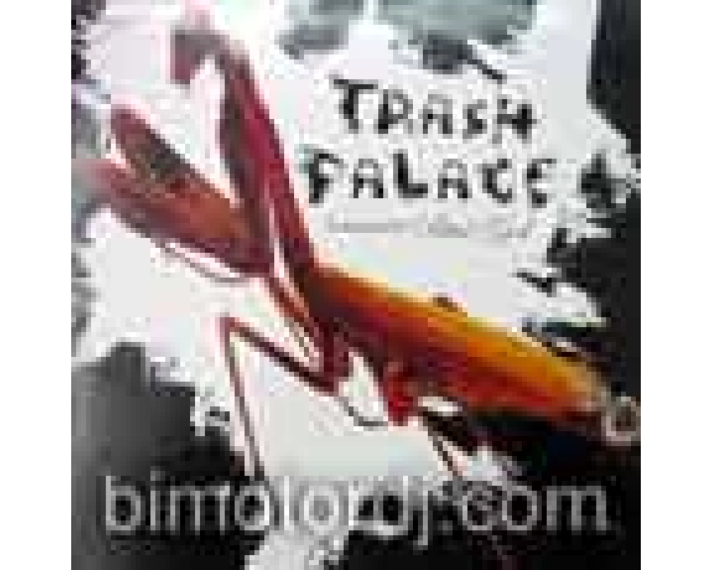 trash palace ft. liam - bad girl