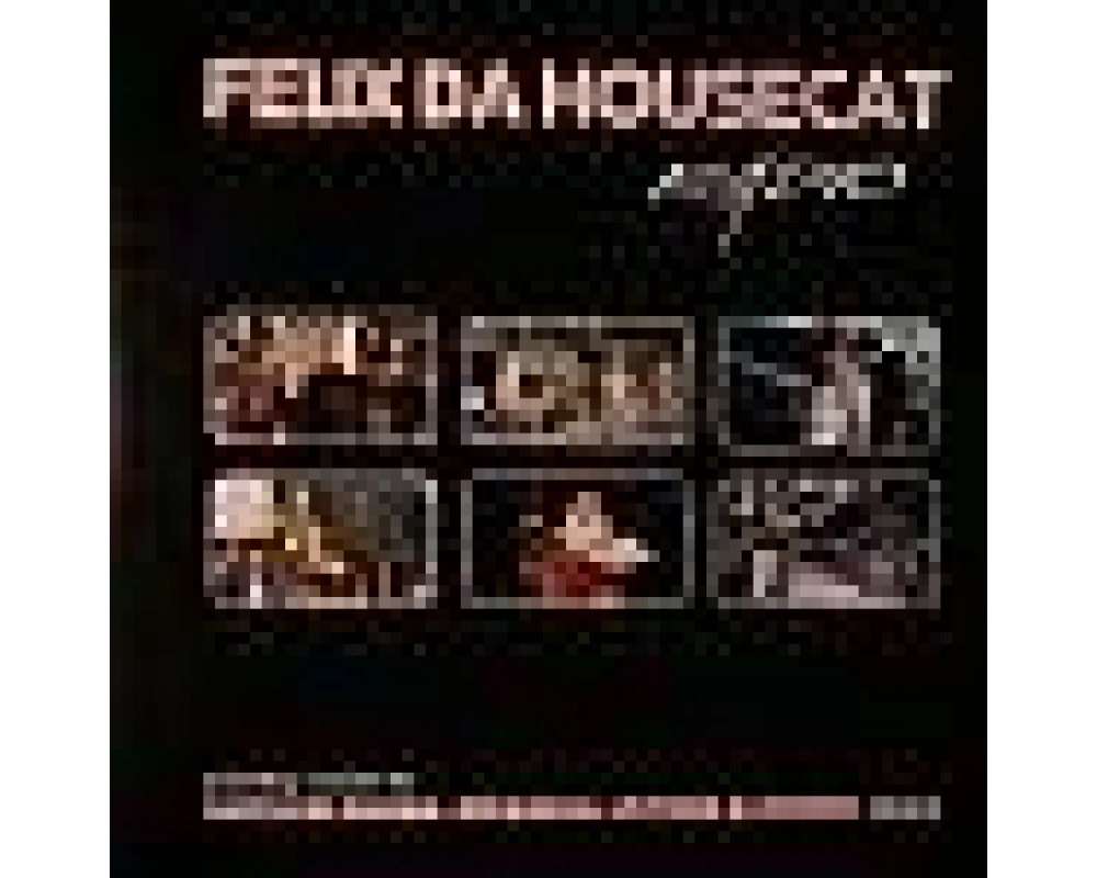 Felix Da Housecat - Radio