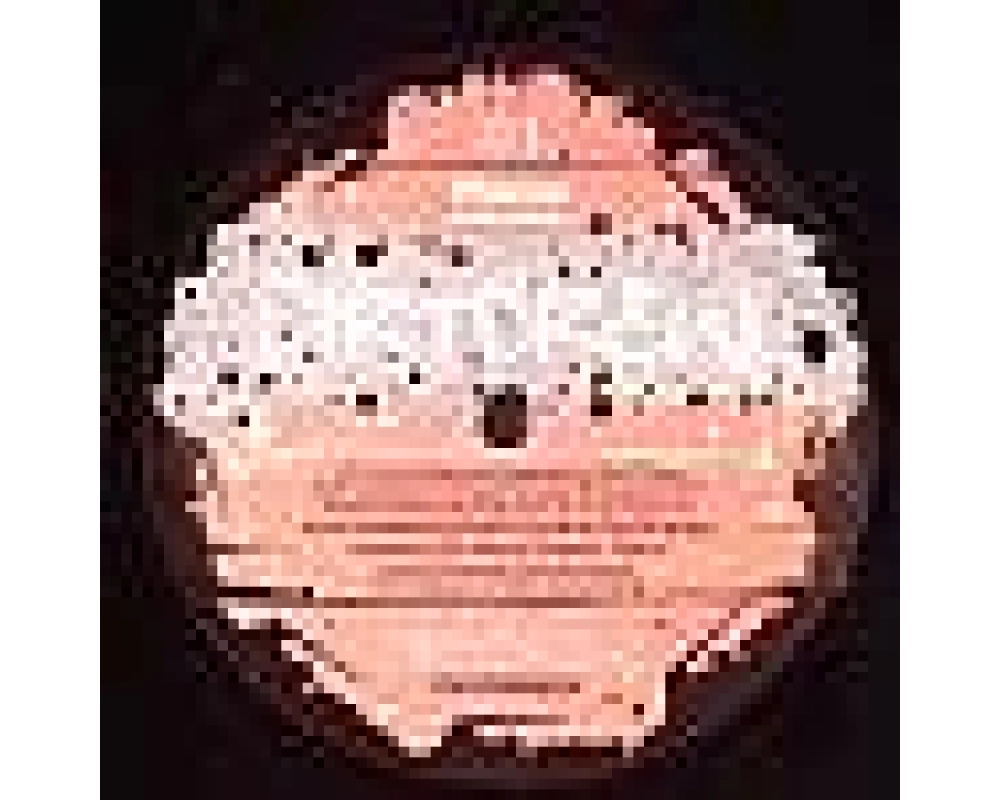Dirt Crew - Places - Deep Smash Tv (Funk Dvoid Rmx)