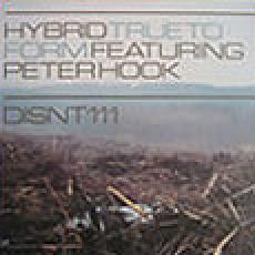 hybrid ft.peter hook - true to form (john c & stephane k)
