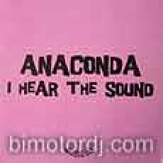 anaconda - i hear the sound