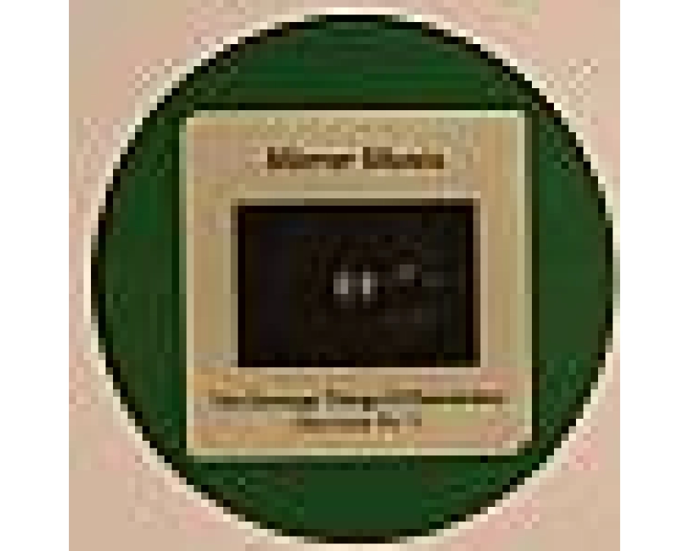 Mirror Music - The Strange Things I ll Rememe