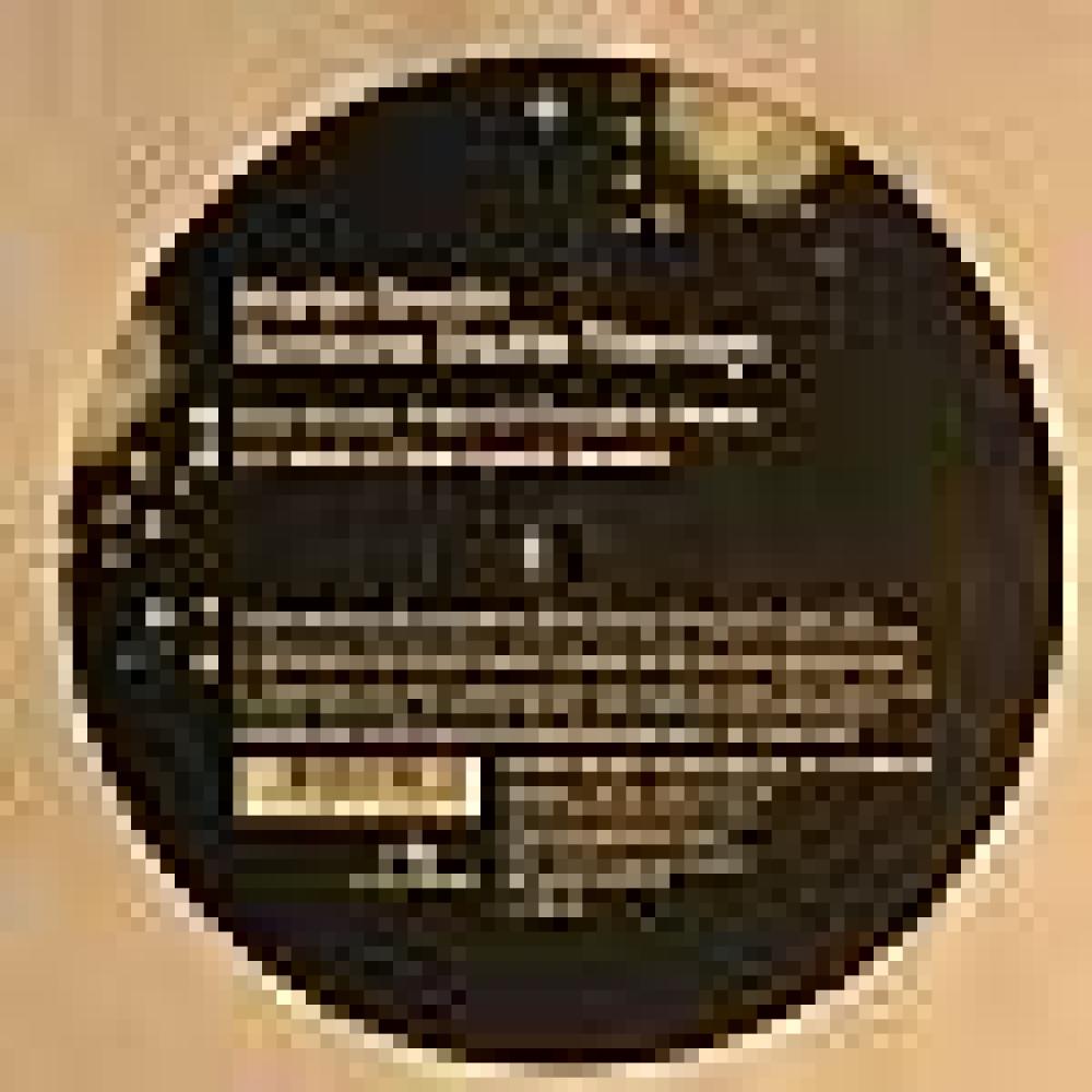 Martin Brodin - Semitone Shuffle (Guy Gerber rmx)