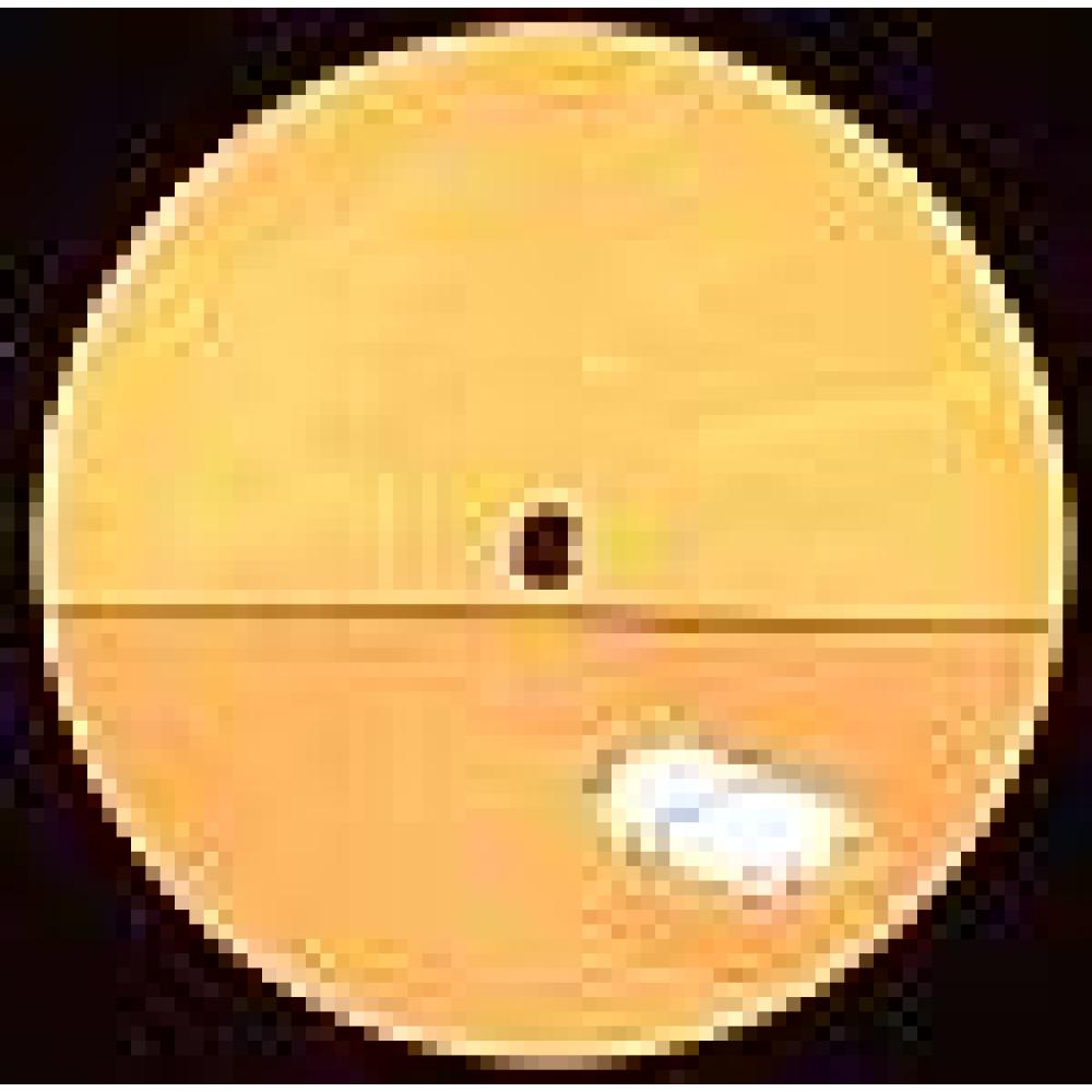 Charles Webster feat Terra Deva - Ready