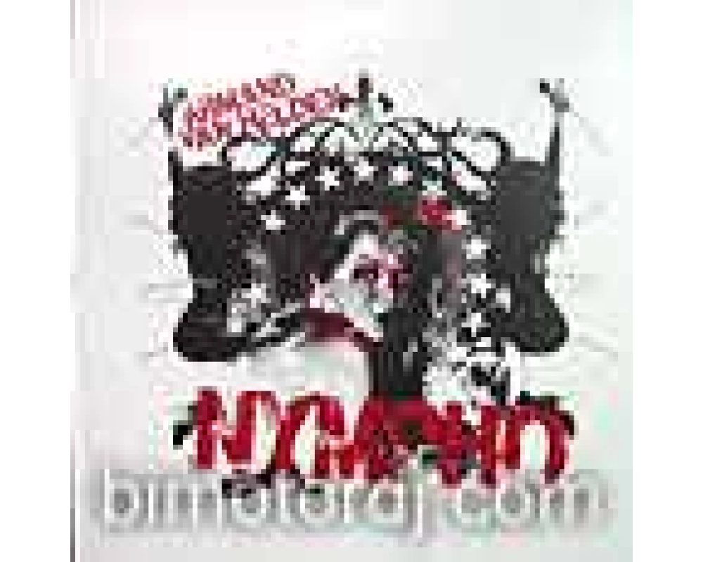 armand van helden - nympho