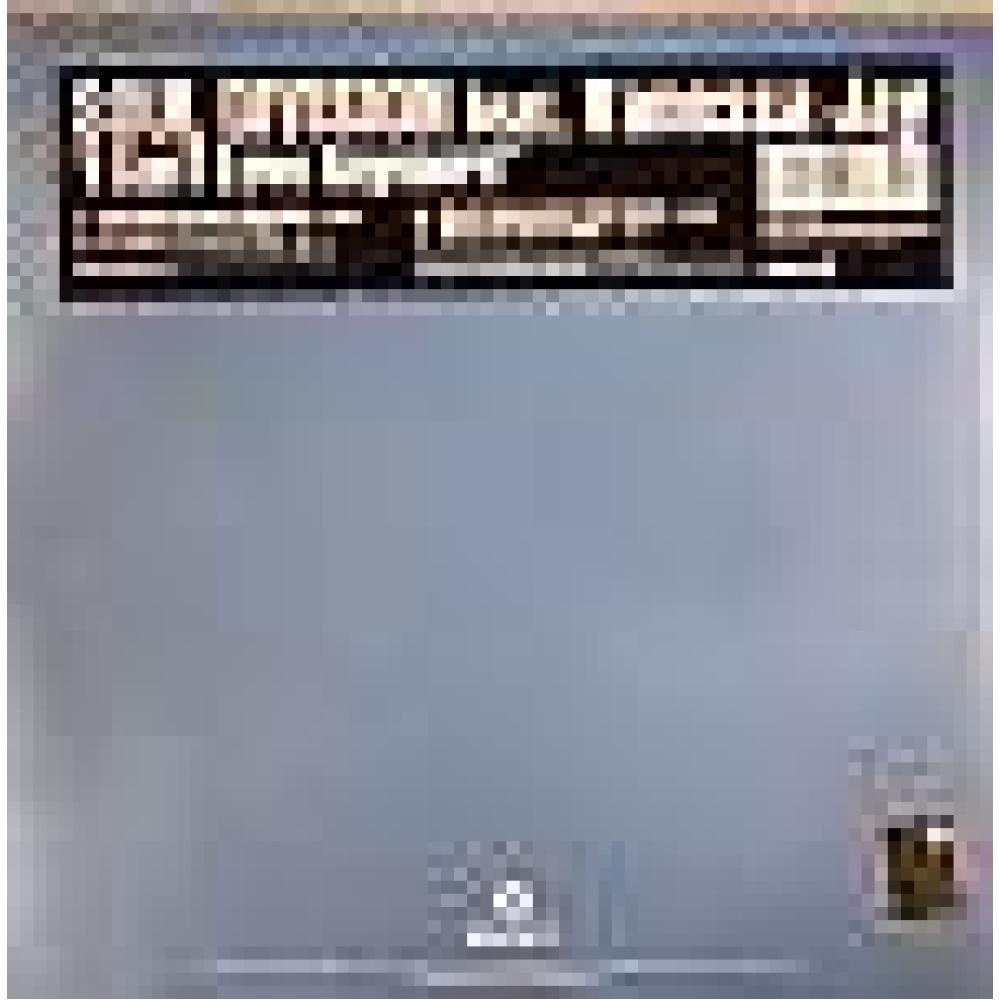 soul division ft vanessa jay - i cant love anymore