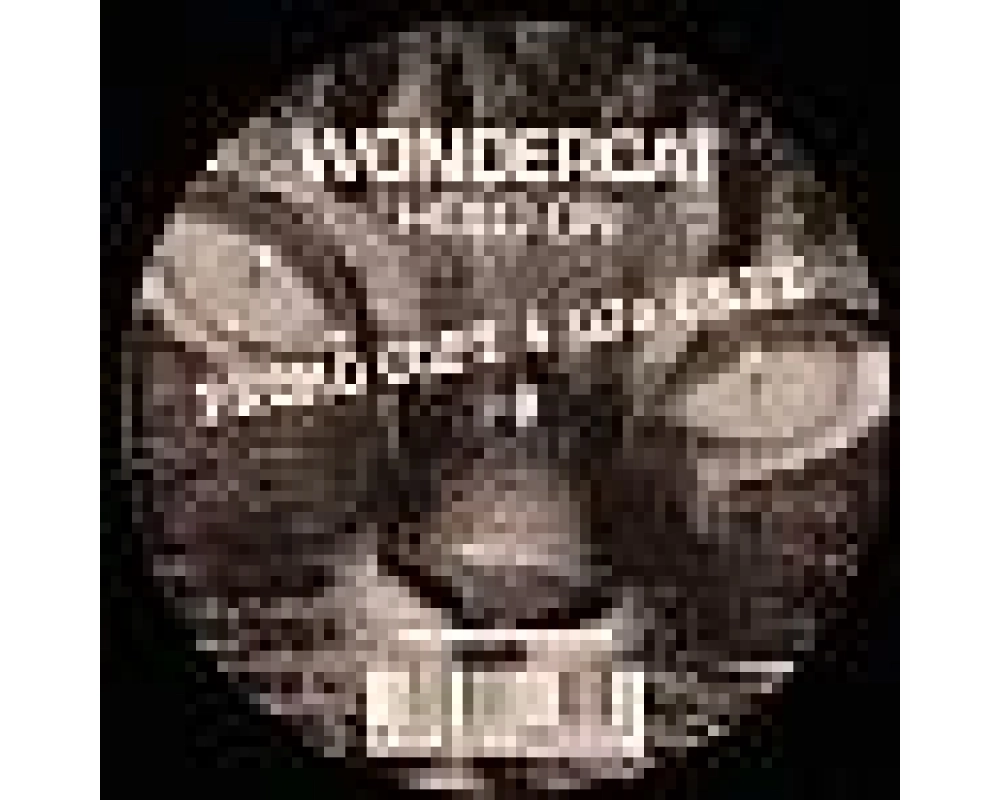 Wondercat - Hold On