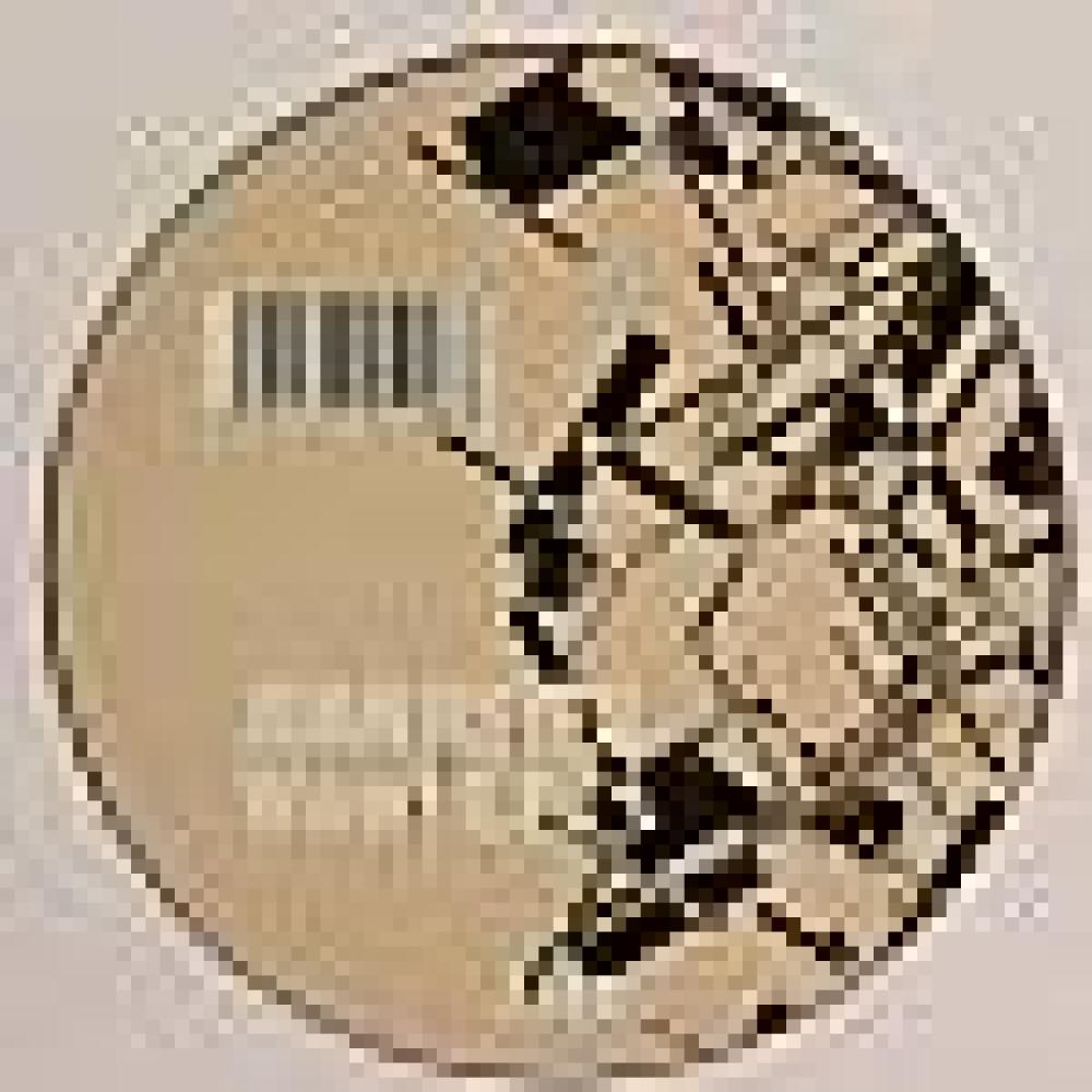 Joan Reyes - Wow! - Brilliance - Psicodelicia