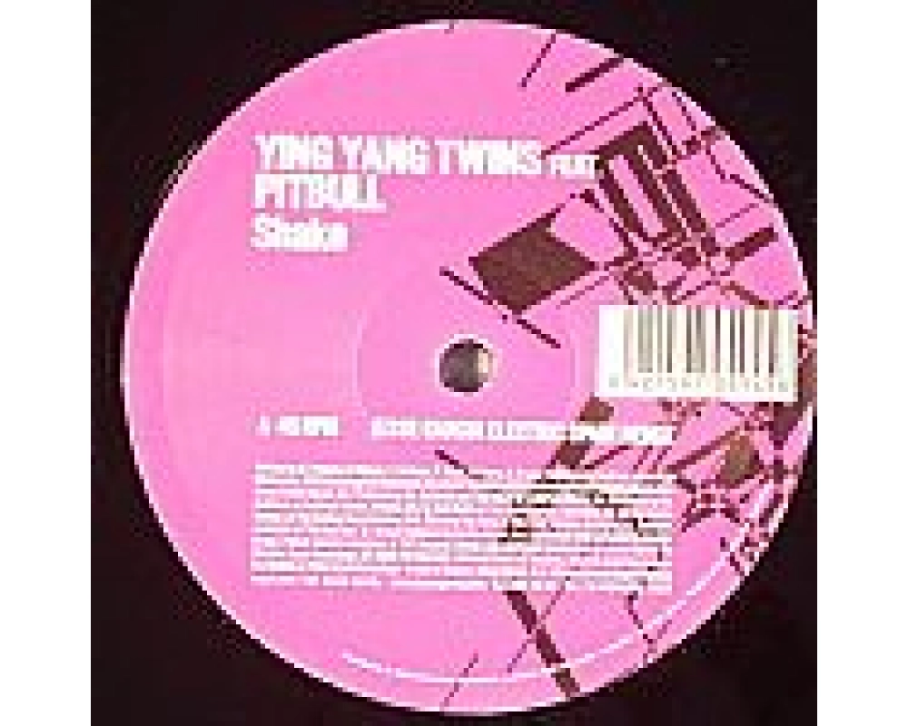 ying yang twins ft. pitbull - shake (jesse garcia remix)