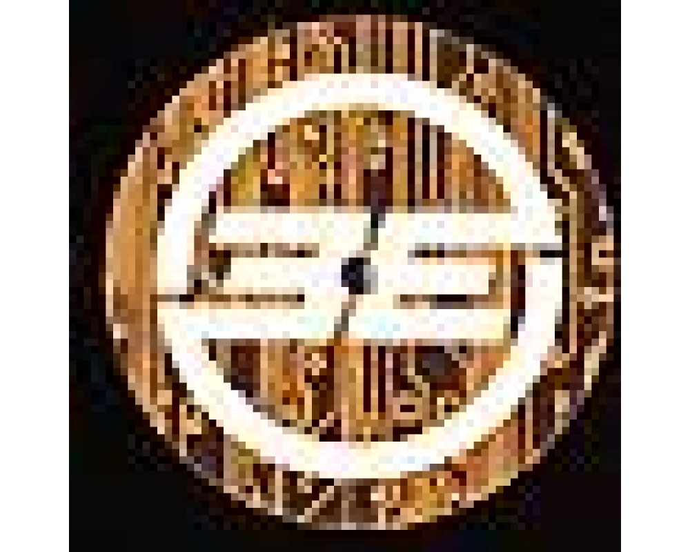 stel vs rekelectric - she rocks (g pal remix)