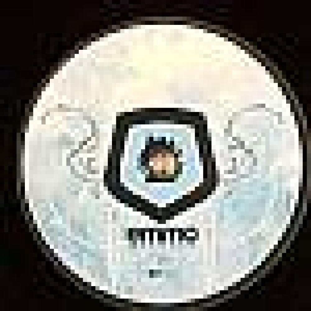 Kourosh & Ric-M - Tribal Dreams (Kult Of Krameria Rmx)