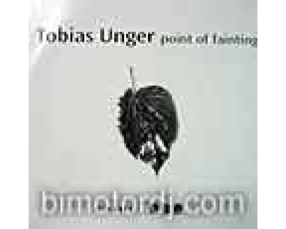Tobias Unger - Point Of Fainting