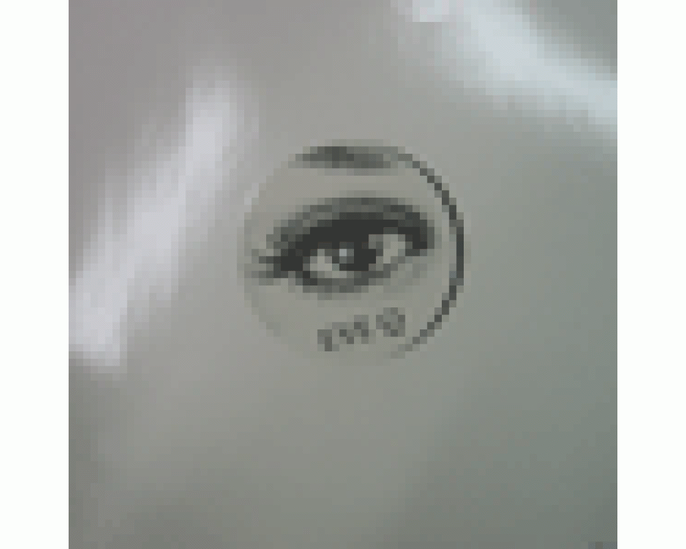 EyeQ - The World Outside My Door