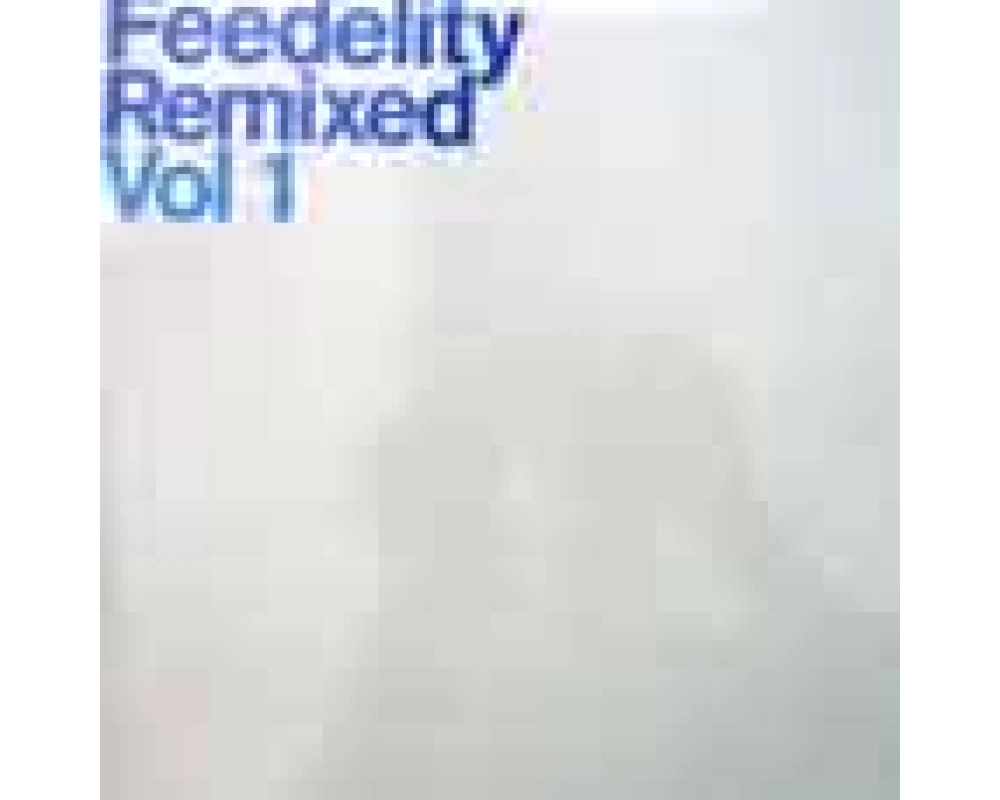 v.a. - Feedelity Remixed Vol 1