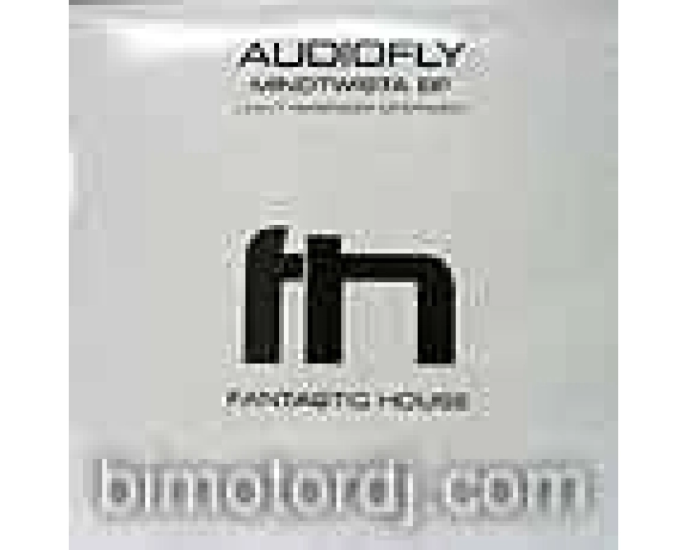 audiofly - i cant remember