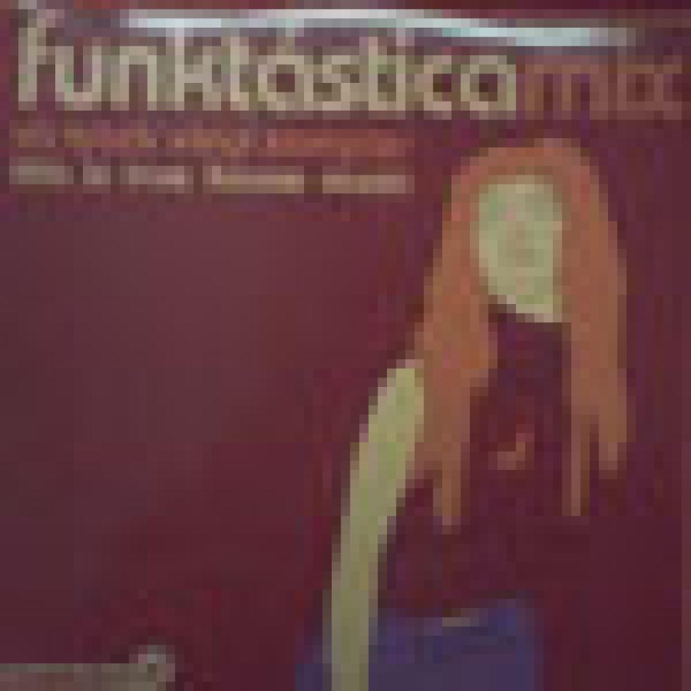 Funktastica Mix - This Is True House Music #1