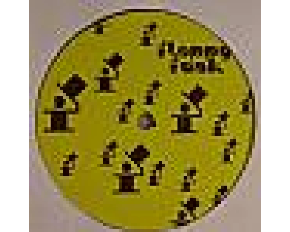 Tom Ellis - Twaddle Ep