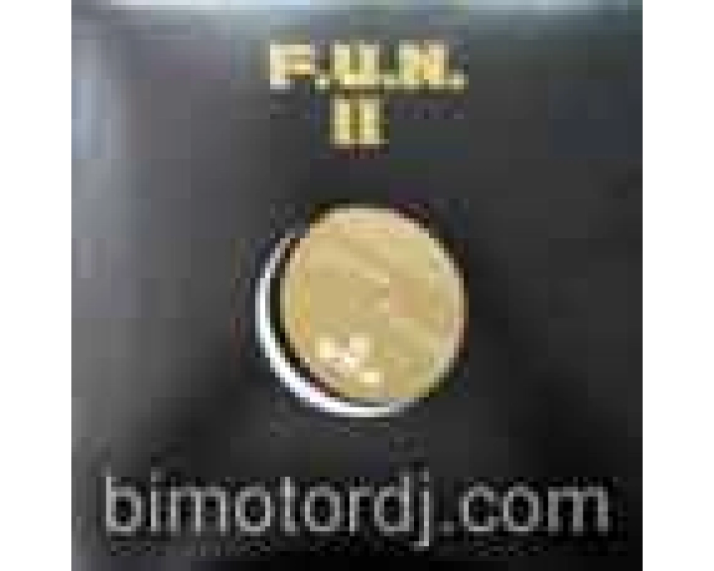Wahoo-sasse-lotterboys-vienna Calls - F.u.n. Sampler Vol.2