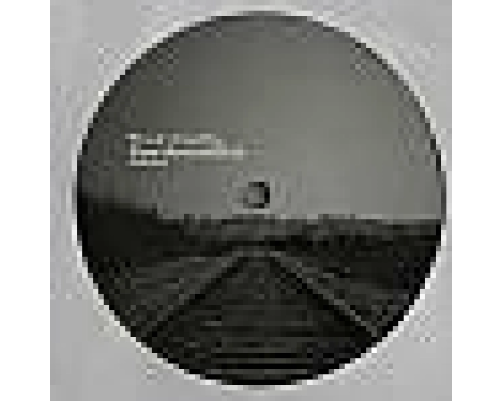 Two Armadillos - patience (WILL SAUL & TAMI remix)