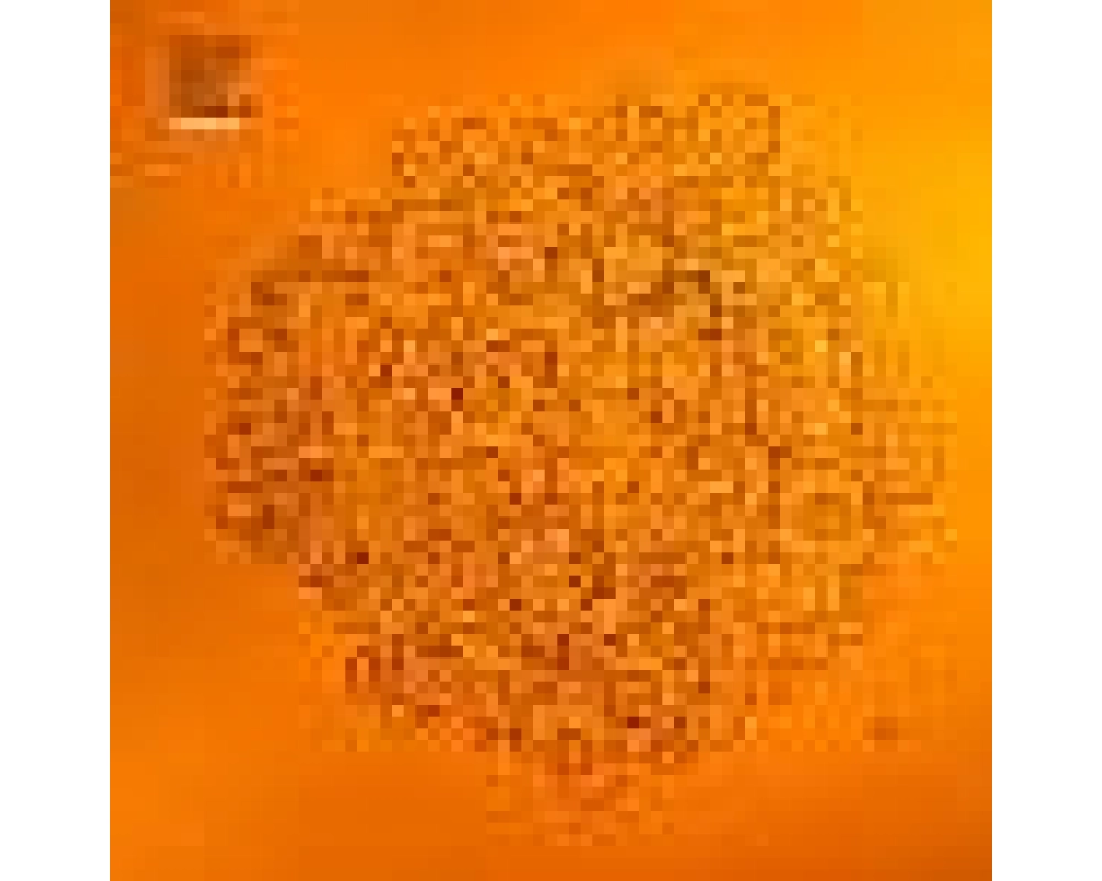 Various Artists - Freerange Records Presents - Colour Series Orange 05 Sampler