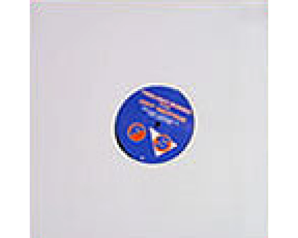 Paul Woolford - Hot Knives