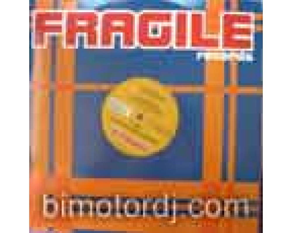 v.a. - fragile records ep vol.2