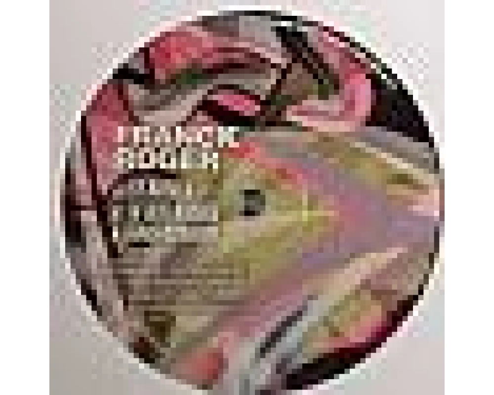 Franck Roger - La Baraka - Transformation