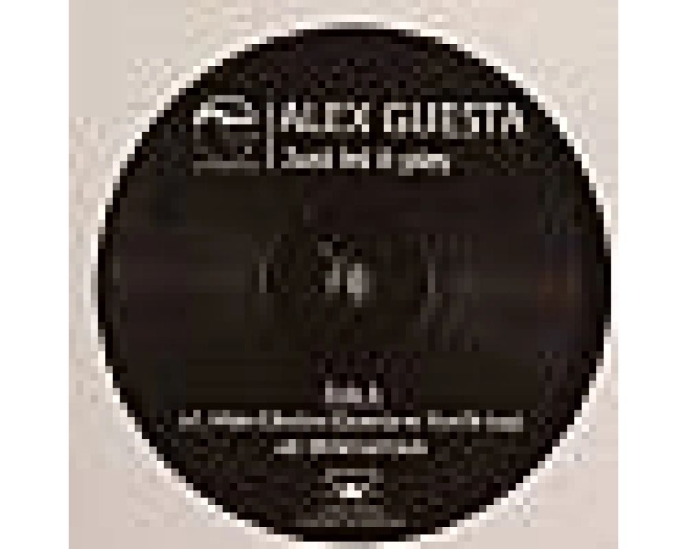 Alex Guesta - Just Let It Play