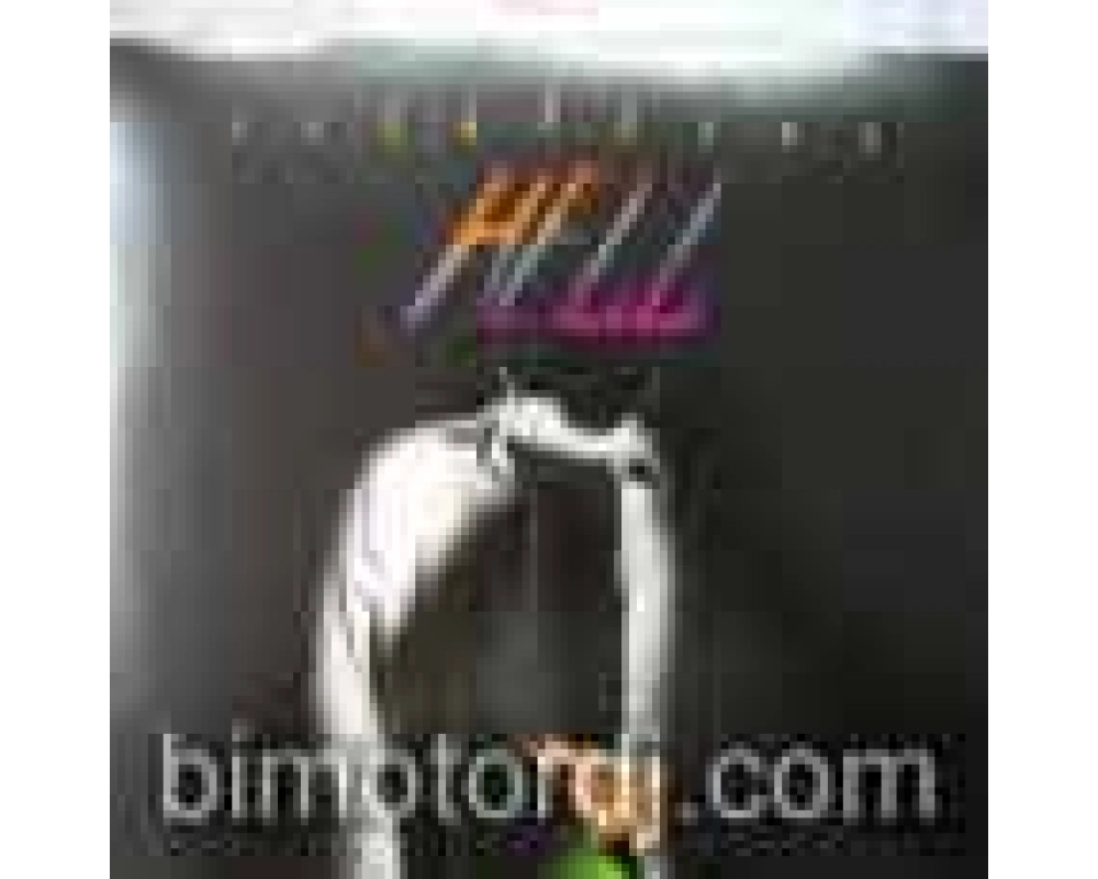 dj hell - the final countdown (r.slave,abe duque & dominik)