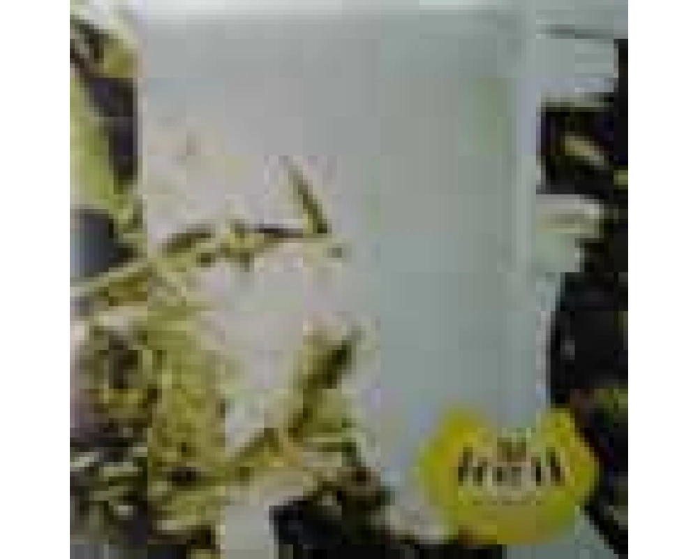 dj hell - my definition part.3