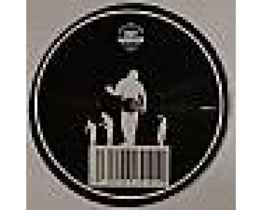 jesse rose - didn t i ep (AUDION rmx)