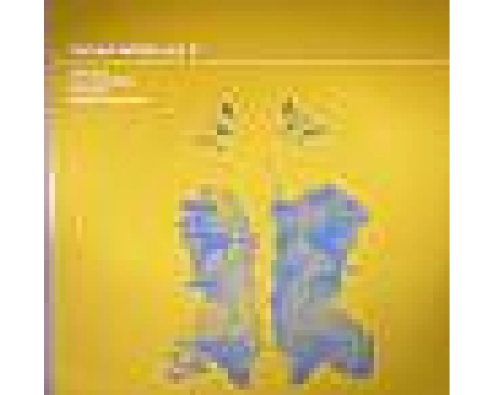 Various Artists - Various Artists Vol.v