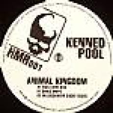 kenned pool - animal kingdom