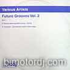v.a. - future groove vol 2