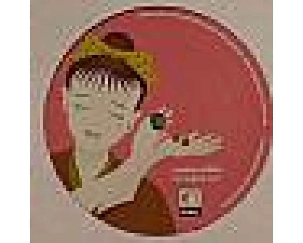 osaka ultras - a matter of time (ALEX SMOKE rmx)