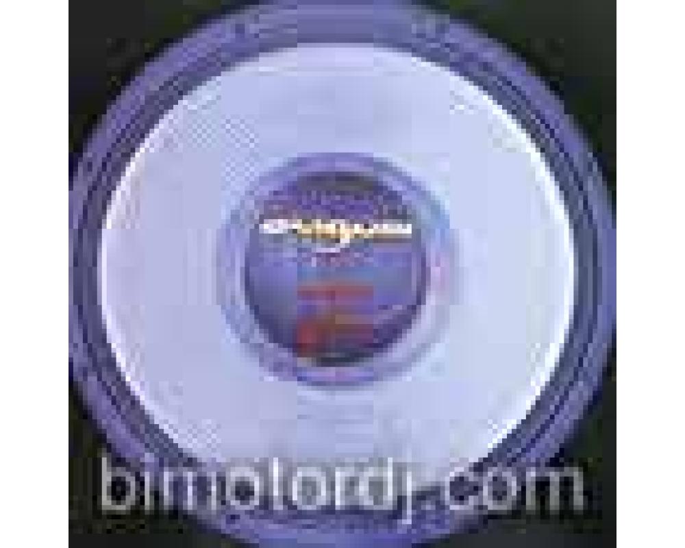 dsigual vol.10 - silence (to protect us)