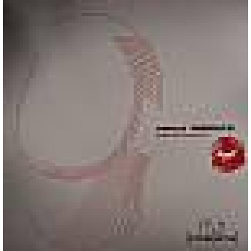 danilo vigorito - Chastity