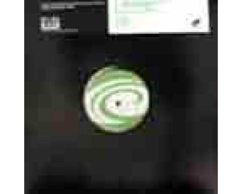 rare influence - take me with you