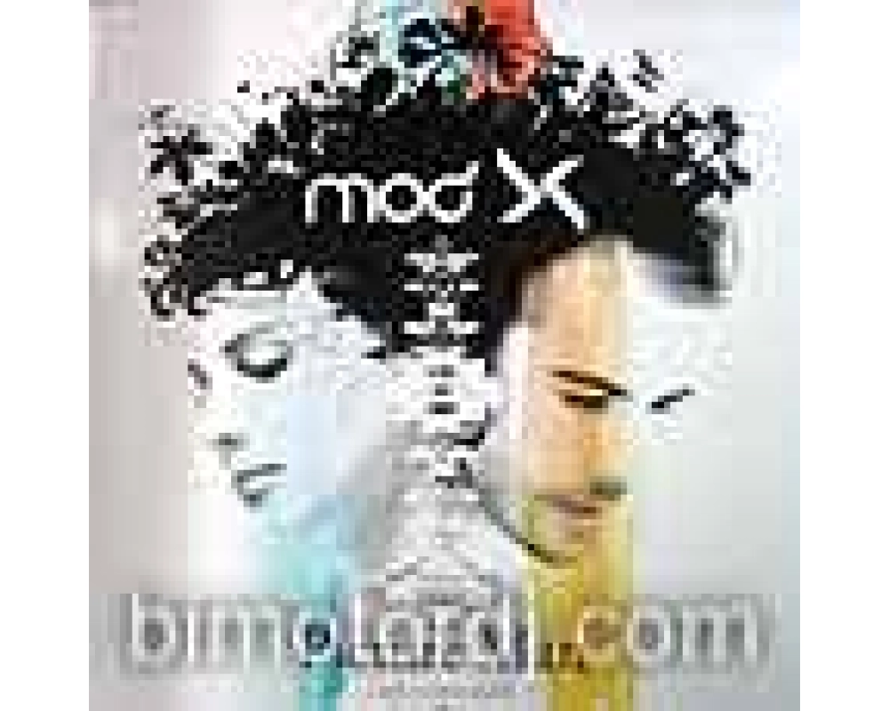 mod x feat kid loco - picture man
