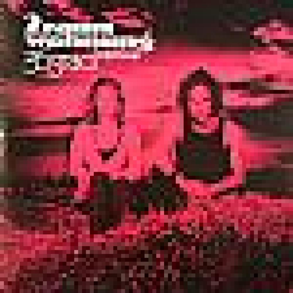 2raumwohnung - 36°Remix album (paul van dyk - martin buttrich - gabriel ananda)